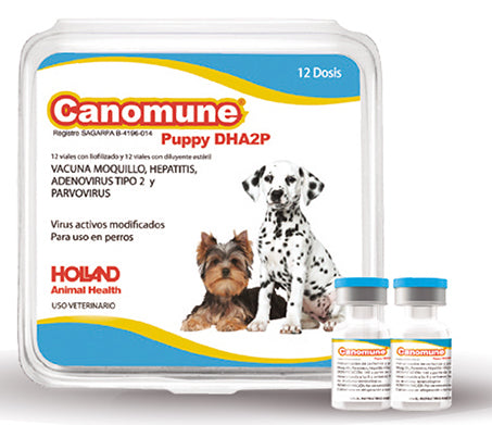Canomune Puppy DHA2P, 1 dosis