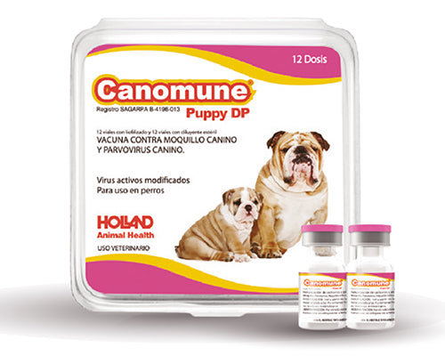 Canomune Puppy DP, 1 dosis