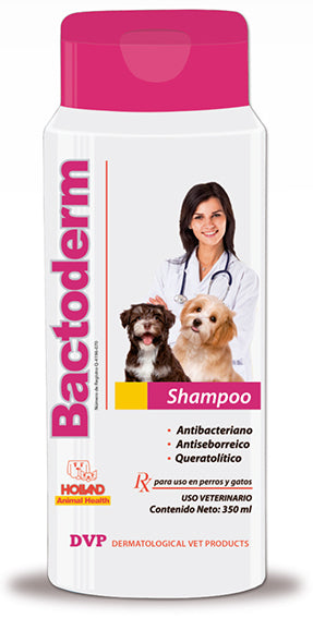 Bactoderm Shampoo 350 ml