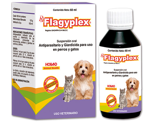 Flagyplex Susp. 60 ml